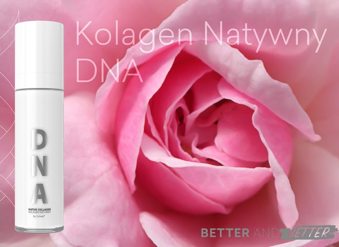 Nowy składnik Kolagenu DNA! Better and Better
